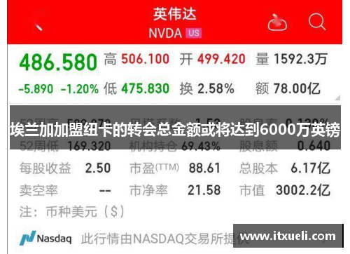 埃兰加加盟纽卡的转会总金额或将达到6000万英镑