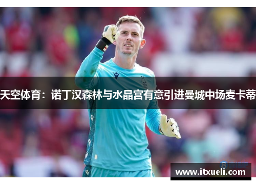 天空体育：诺丁汉森林与水晶宫有意引进曼城中场麦卡蒂